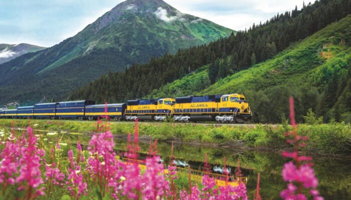 Train Travel’s Scenic Comeback On Track